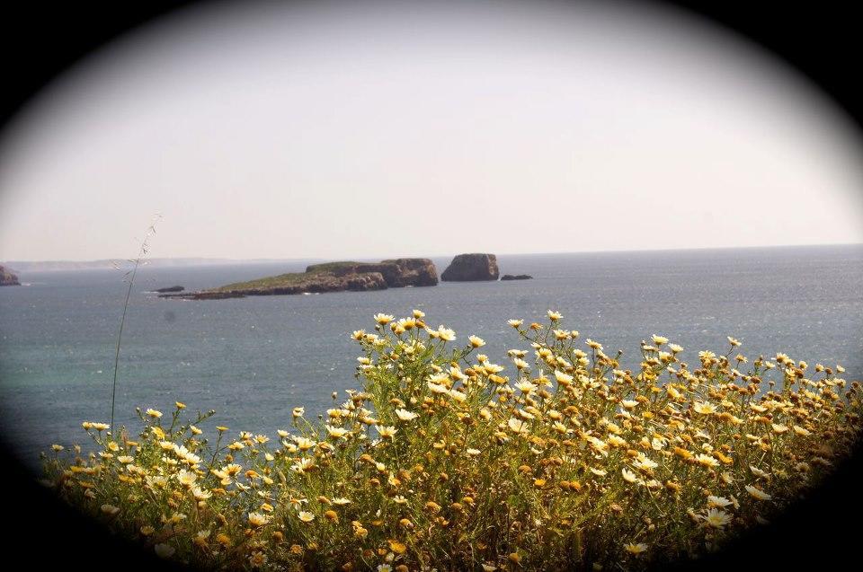 ホテル Casa Do Cabo De Santa Maria サグレス エクステリア 写真